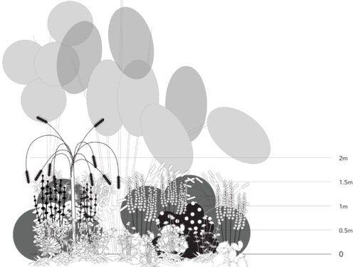 SRUC HNC Horticulture
