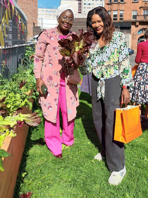 Global Seeds Harvest